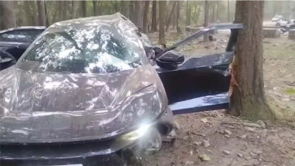 दर्दनाक हादसा: पेड़ से टकराई कार, एक की मौत, दो गंभीर