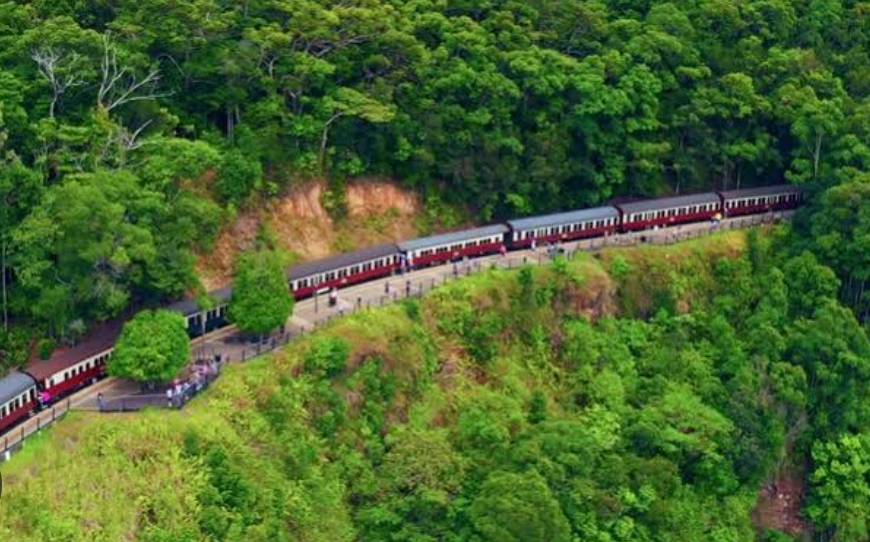 असम: ट्रेन से टकराकर 8 हाथियों की मौत की खबर !